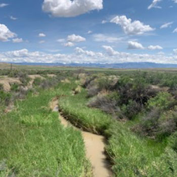 Lane 9 Cowley, WY Acreage